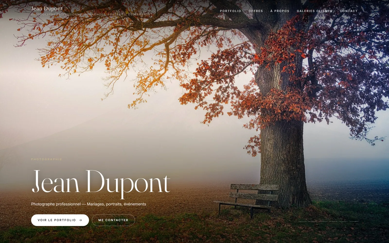 Accueil d’un site STELYR Photo : photo d’un arbre d’automne dans la brume en plein écran, nom du photographe en grand