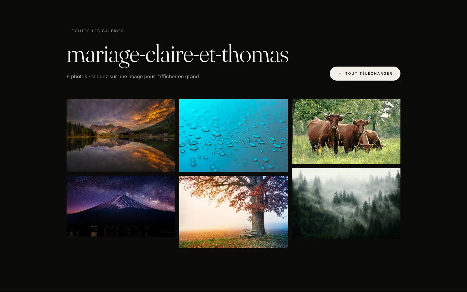 Galerie privée d’un mariage : six photos et bouton Tout télécharger